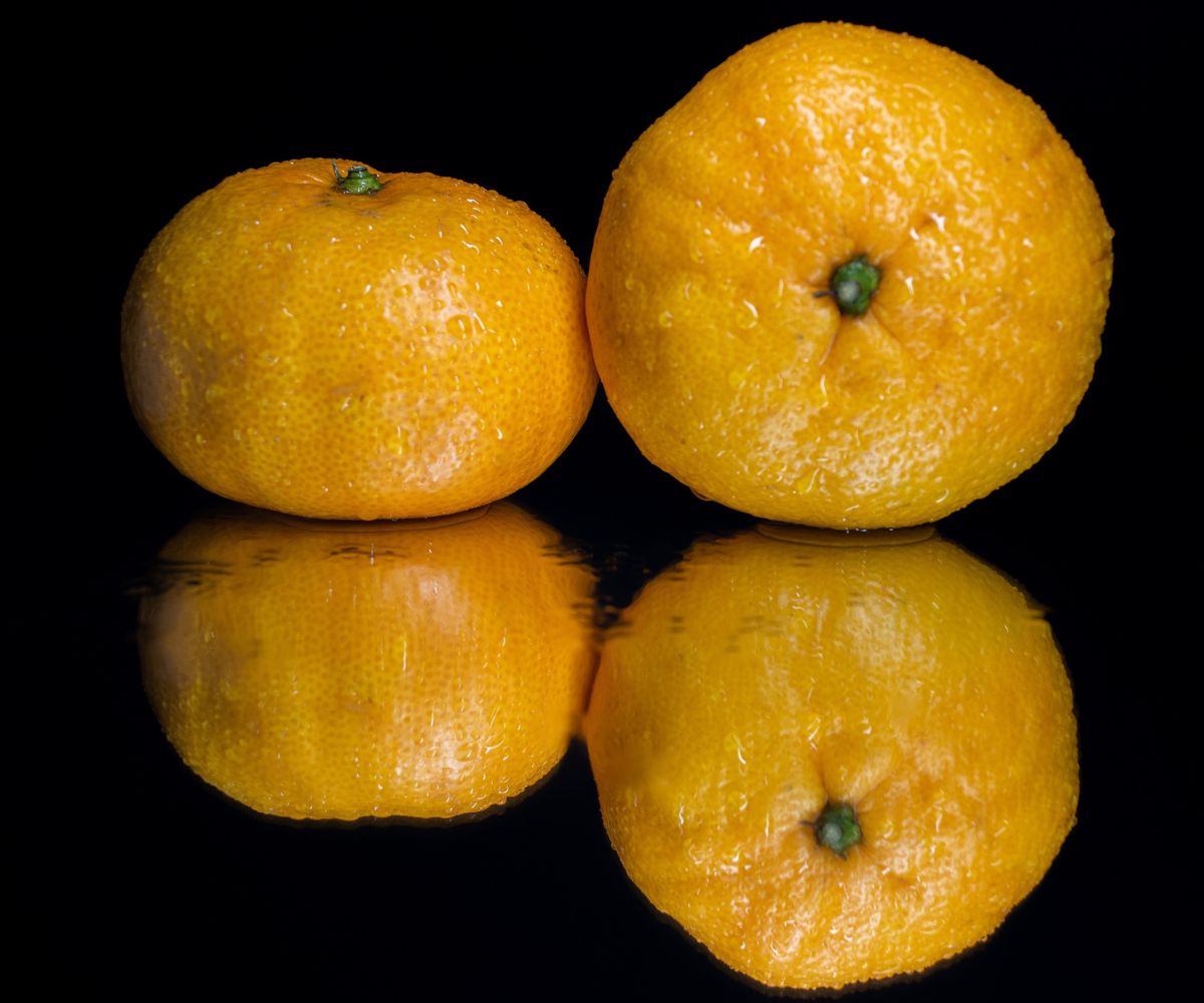 magento seo duplicate content